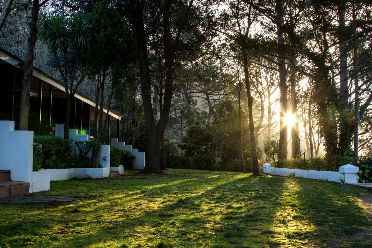 Silvermist Wine Estate Cape Town Exterior foto
